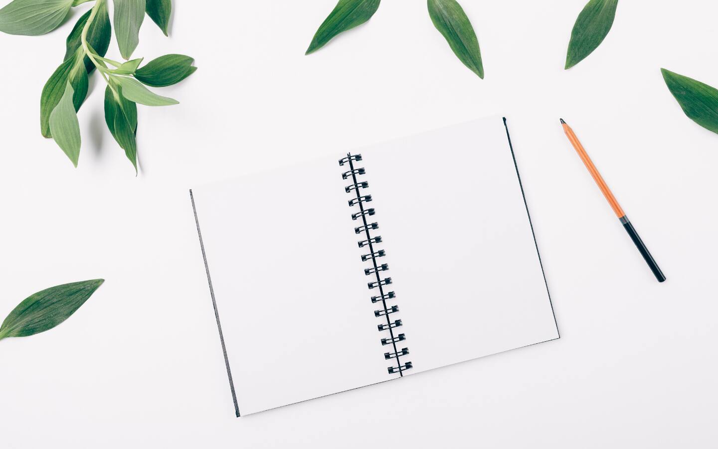 Prioritizing what's important