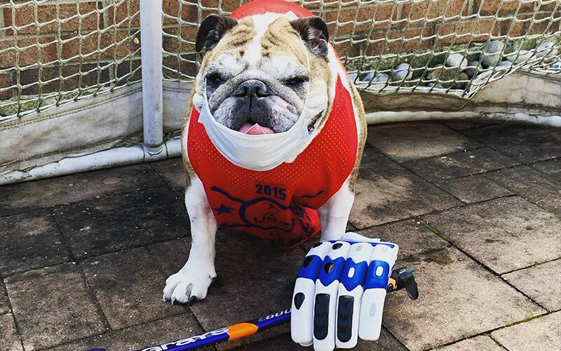 National Pet Day is April 11