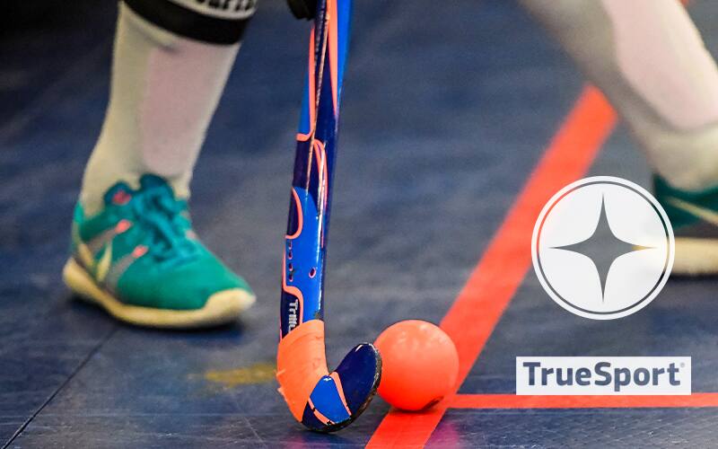 Stock image of indoor ball and stick with TrueSport logo
