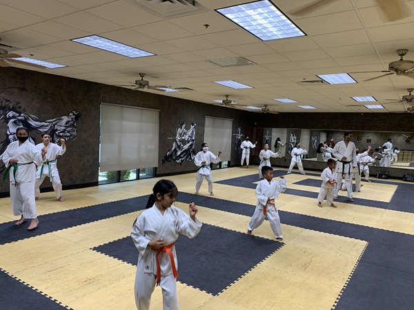 Miladi Karate Academy