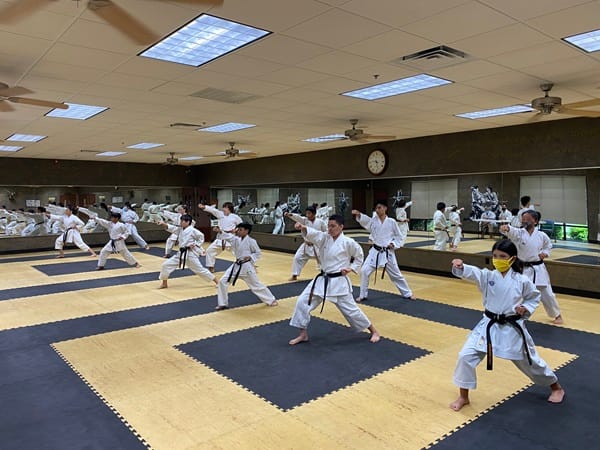 Miladi Karate Academy
