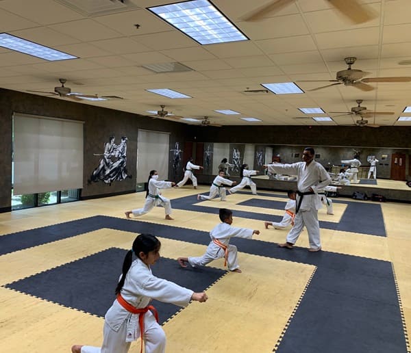 Miladi Karate Academy Training