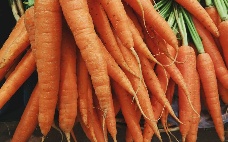 Carrots Image
