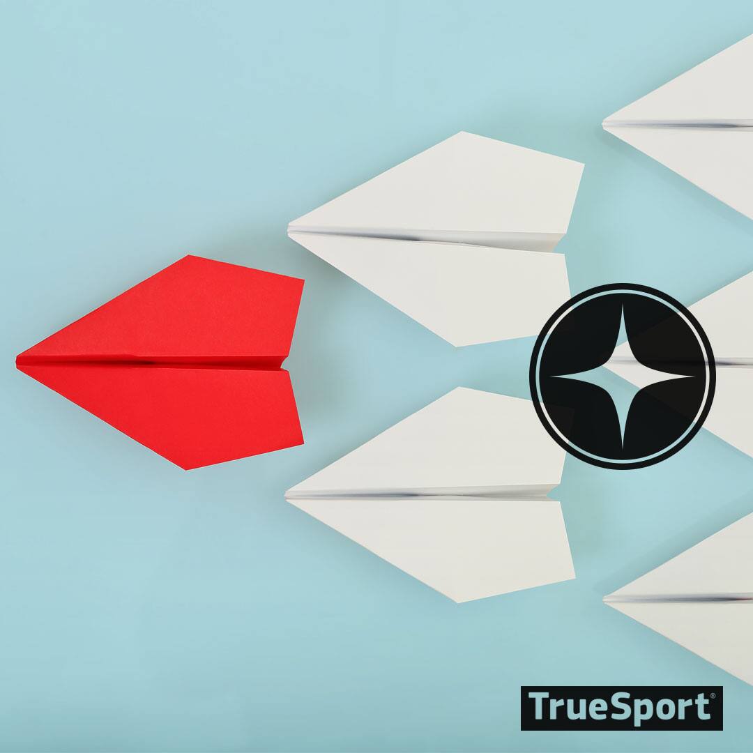 Paper Airplane Graphic