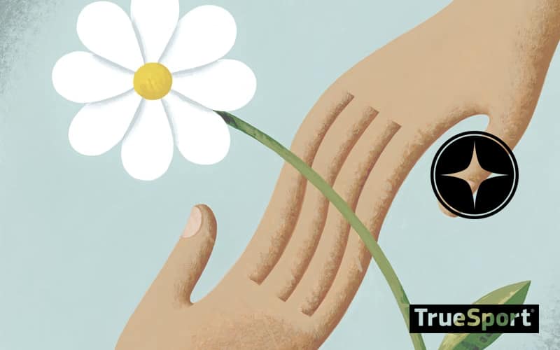 Two Hands Holding a Daisy