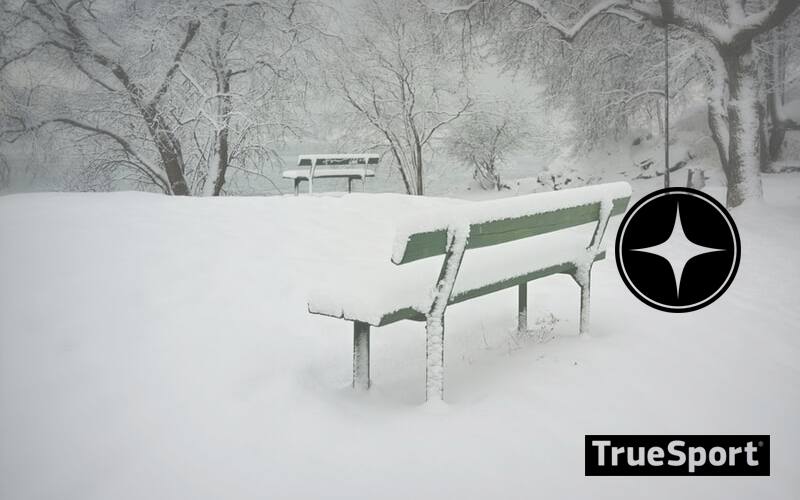 Scene of a bench in the park covered in snow 