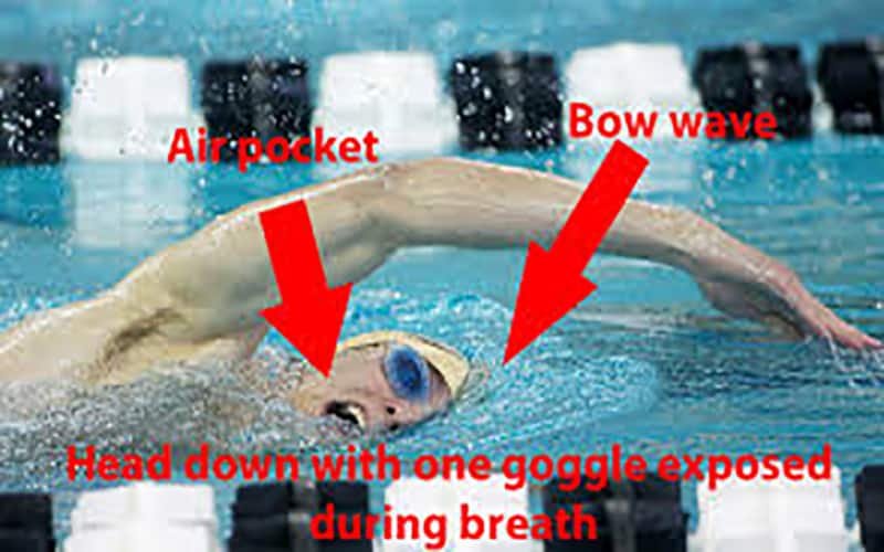 Swim Tips