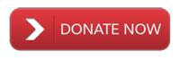 Red Donate Button