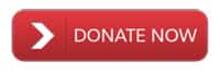 Red Donate Button