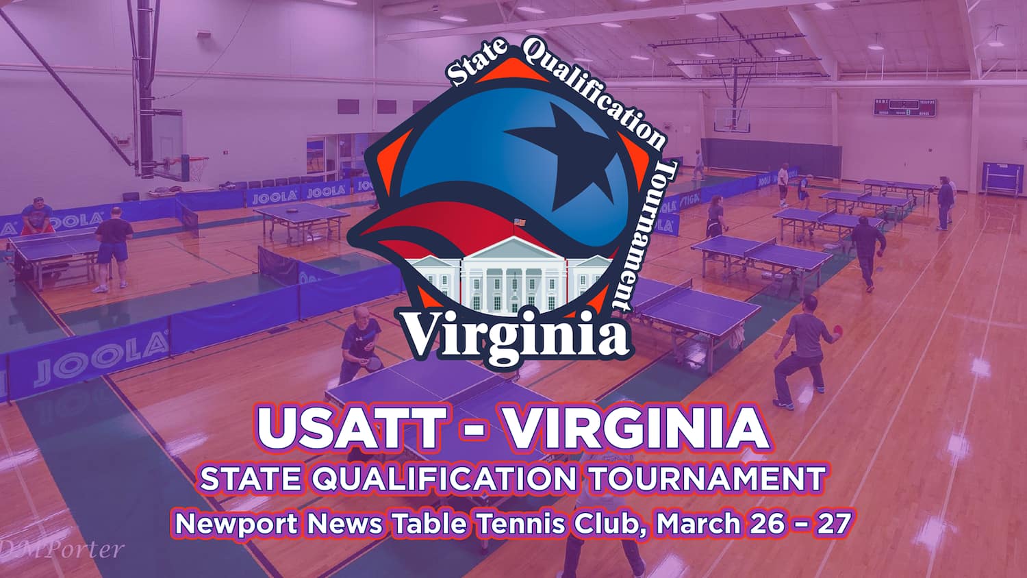 Virginia SQT logo banner