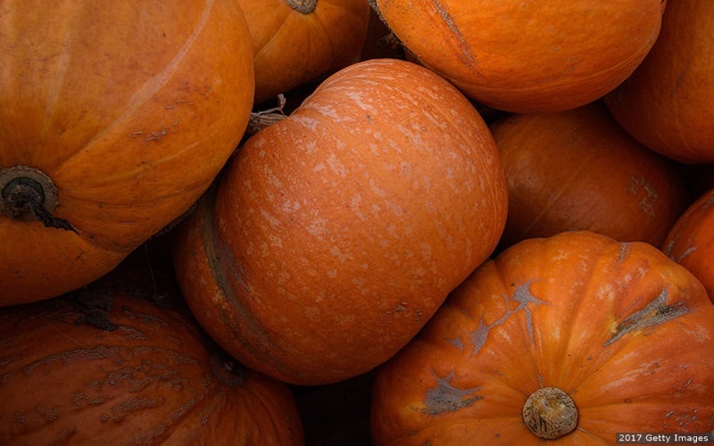 Pumpkin Fall Recipe