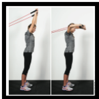 stretch cord exercise