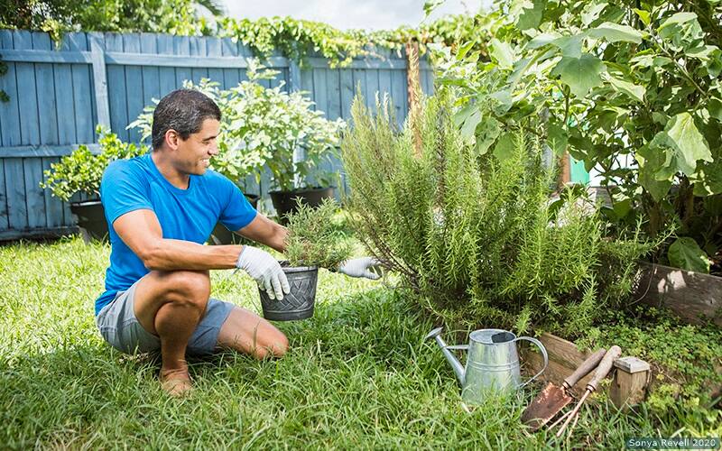 leo brea in his garden