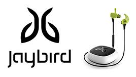 jaybird