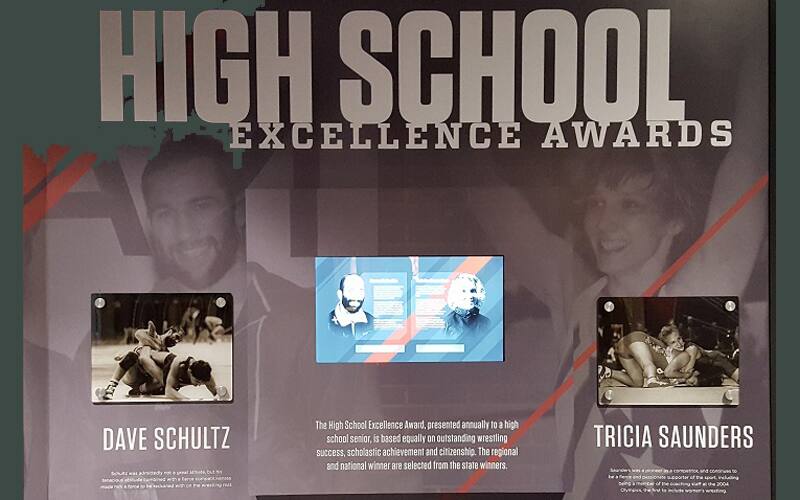 Hall of Fame graphic for Dave Schultz and Tricia Saunders High School Excellence Awards