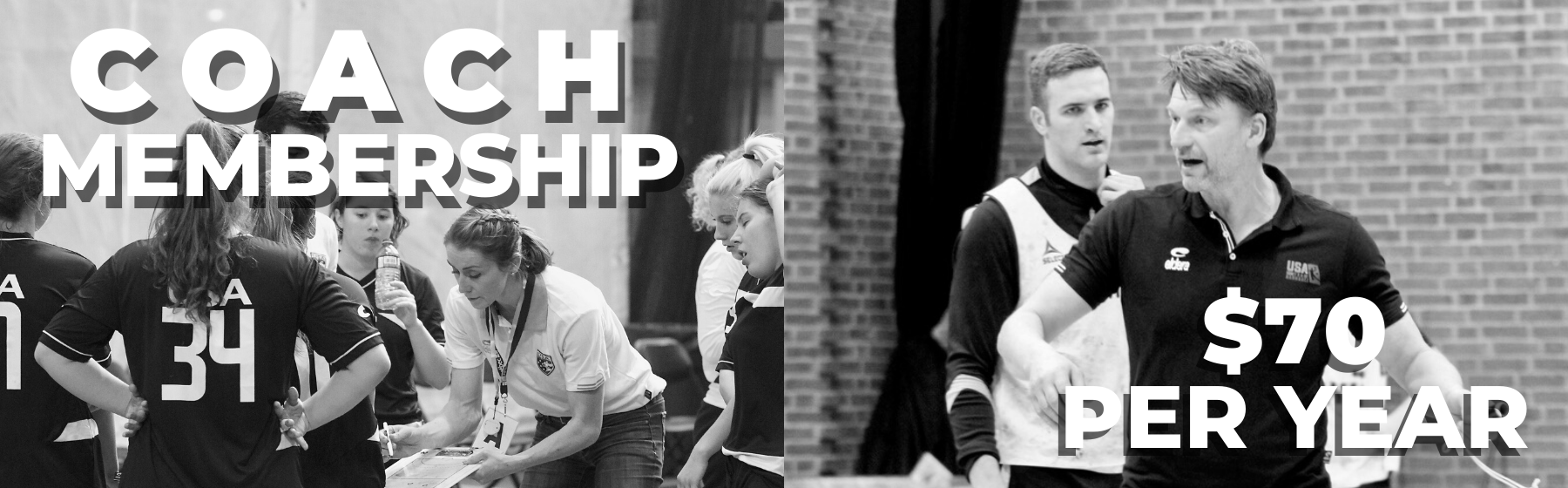 Coach membership graphic and associated price