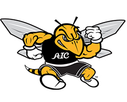 American International College